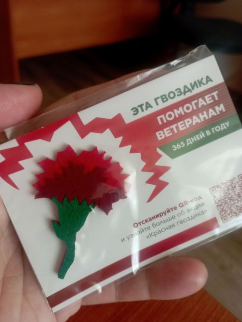 Сотрудники отдела по делам молодежи, спорту и туризму совместно с Форпостом провели акцию «Красная гвоздика»