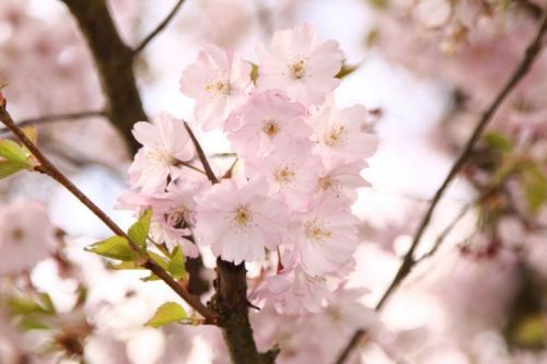 В Татарстане ожидается 27-градусная жара и порывистый ветер