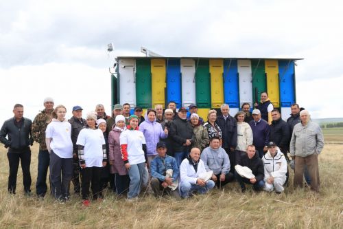 К пчеловодству – с современным подходом