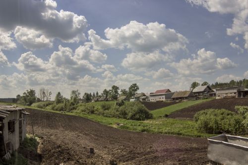 Чем полезен нашатырный спирт в огороде