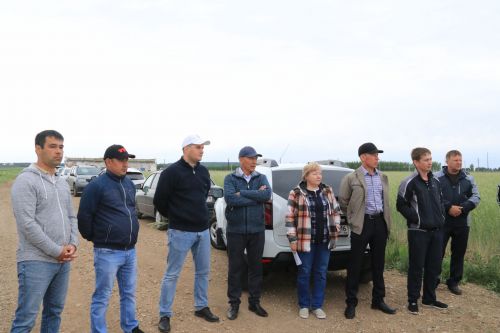 Активизировать сев озимых и кормозаготовку