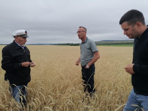 Ютазинцы определили стратегию проведения уборочной