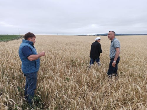 Ютазинцы определили стратегию проведения уборочной