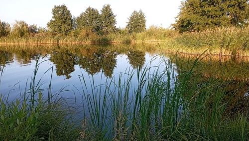 Народные приметы 27 августа