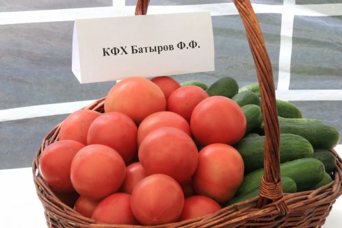 У ютазинских аграриев резервы есть