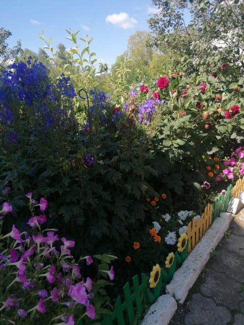 Красота заставляет поверить в красоту жизни