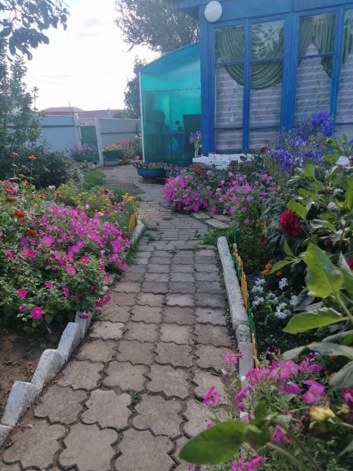 Красота заставляет поверить в красоту жизни
