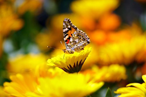 Погода 9 августа