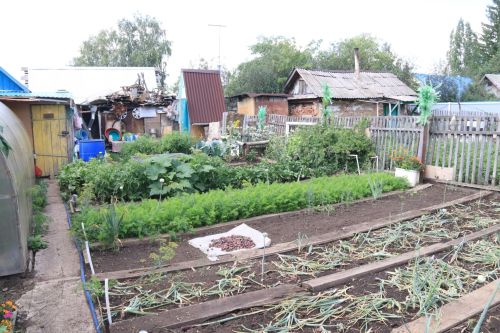 Шпаргалка на сентябрь — важные садово-огородные дела