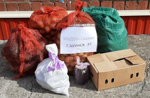 В Буинске ребята детского сада вырастили овощи для бойцов спецоперации