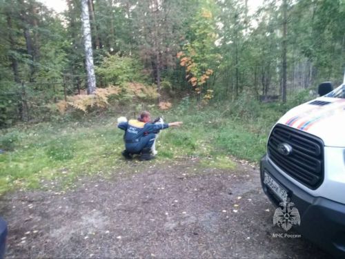 В Тукаевском районе РТ спасатели нашли заблудившихся в лесу грибников