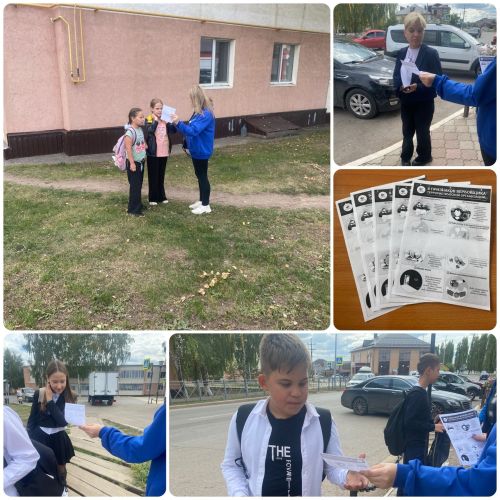 Уличная акция «Мир против жестокости»