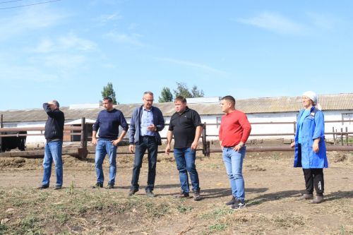 Уборочная кампания выходит на финишную прямую