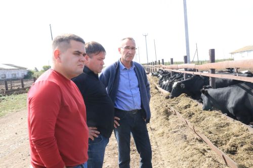 Уборочная кампания выходит на финишную прямую