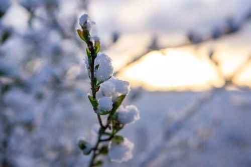 Прогноз погоды 12 декабря