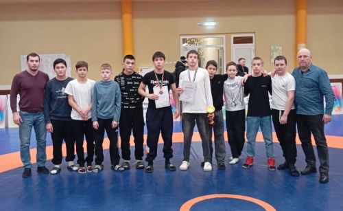 В Набережных Челнах состоялось первенство РТ по греко-римской борьбе