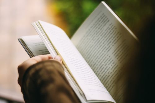 Зимний вечер за чтением книги