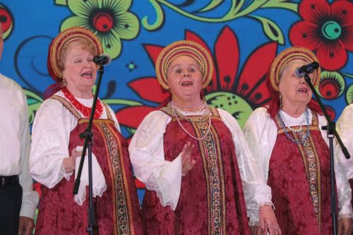 В РДК прошёл концерт ко Дню защитников Отечества
