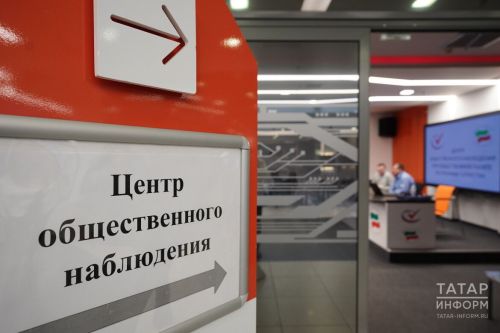Эксперт Лукаш о выборах: «Когда болото сохнет — вылезают крокодилы. Так же и с фейками»
