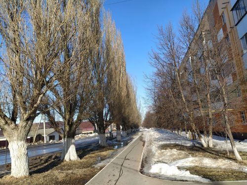 10 весенних советов для пользы тела и души