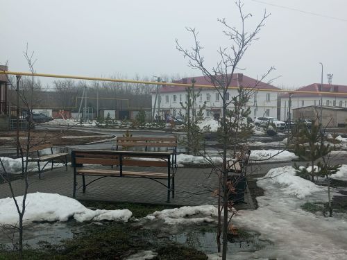 Погода в Уруссу 1 апреля будет пасмурной