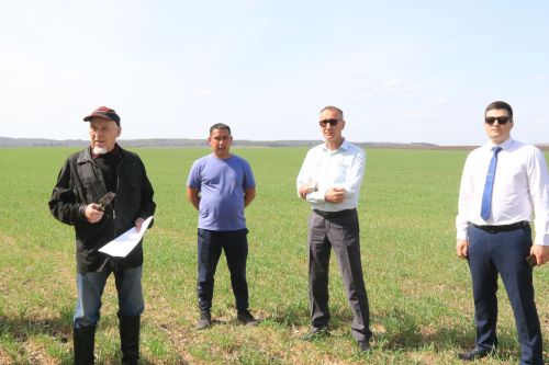 Со дня на день в районе начнется посевная