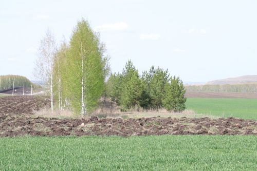 Со дня на день в районе начнется посевная