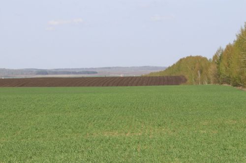 Со дня на день в районе начнется посевная
