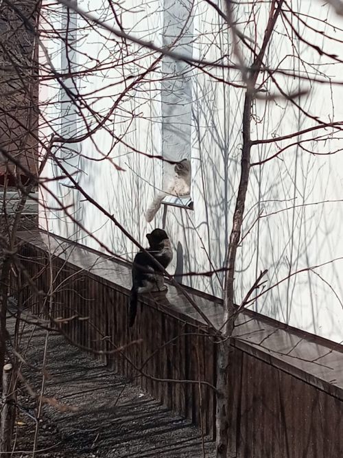 Весна в Уруссу