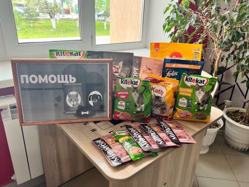 Уруссинские ребята организовали акцию в помощь животным