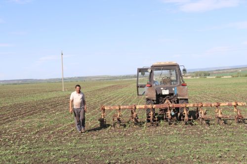 Аграрии района приступили к закладке сенажа