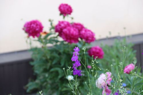 Погода в Уруссу на 12 июля