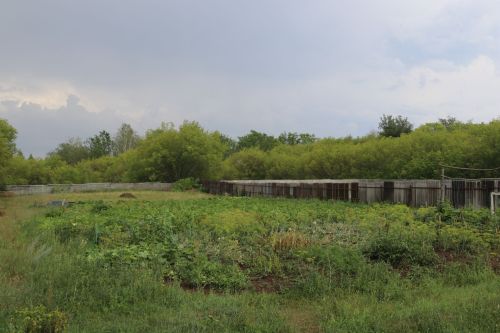 Каркале цепко держится за жизнь