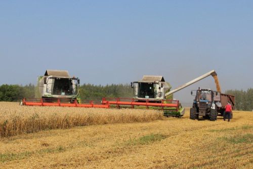 В республике стартовала уборочная кампания
