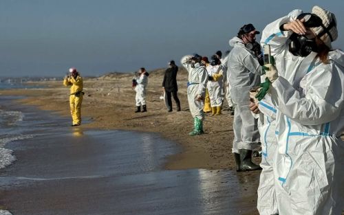 Союз активистов из Татарстана активно борется с последствиями разлива мазута в Черном море