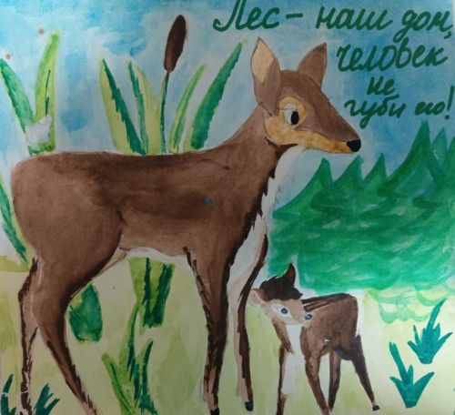 Знатоки природы