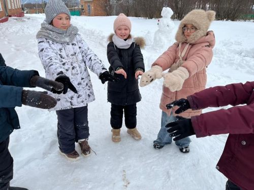 Во время зимних каникул на школьной площадке села Старые Уруссу для детей прошла развлекательно-игровая программа «Зимние забавы»