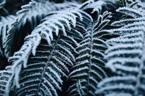 Приметы 10 января