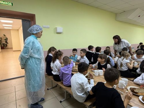 Родительский контроль за организацией питания