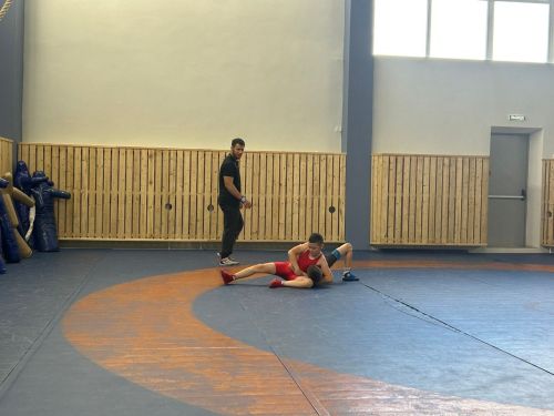 Первенство по греко-римской борьбе