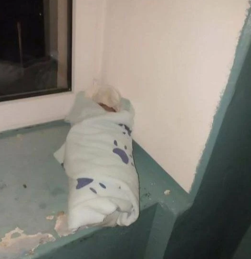 В Альметьевске в подъезде жилого здания на улице Ленина был найден младенец, завернутый в плед