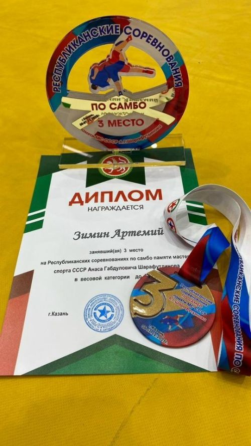 Бронза Артемия Зимина по самбо