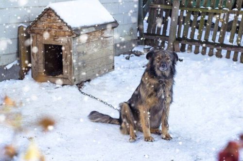 Народные приметы на 2 февраля
