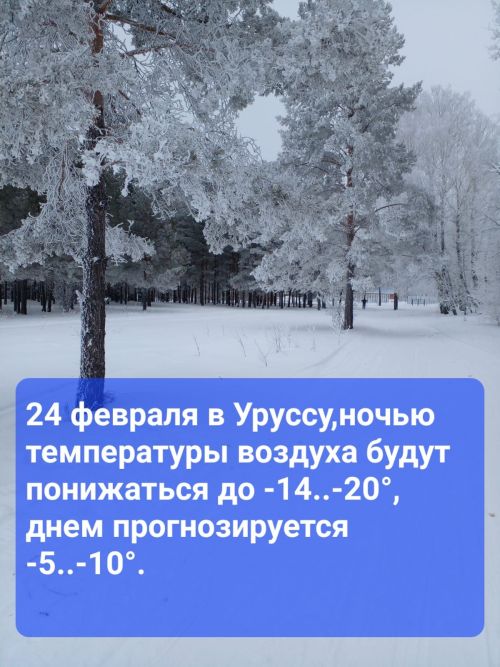Какой будет погода в Уруссу 24 февраля