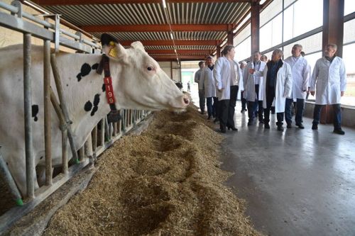 В Татарстане малые формы хозяйствования за минувший год произвели продукции на сумму 142,2 миллиарда рублей