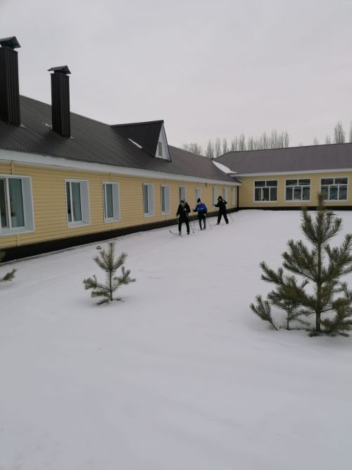 Укрепление здоровья с помощью лыжных прогулок на свежем воздухе