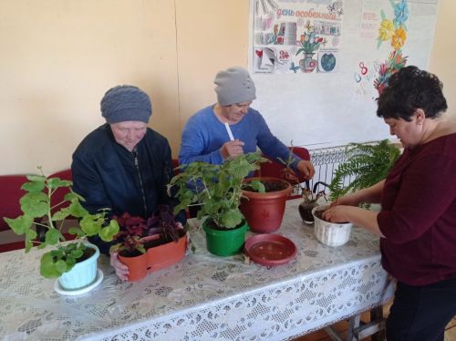 Экологический час «Человек природе друг» прошел в Кряш-Булякском сельском клубе