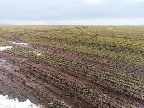 В Ютазинском районе стартовал первый этап весенне-полевых работ