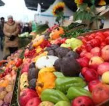 Весенний заряд: какие витамины помогут взбодриться после зимы