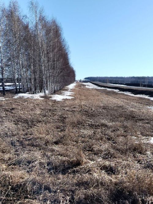 Доброго утра, всем!